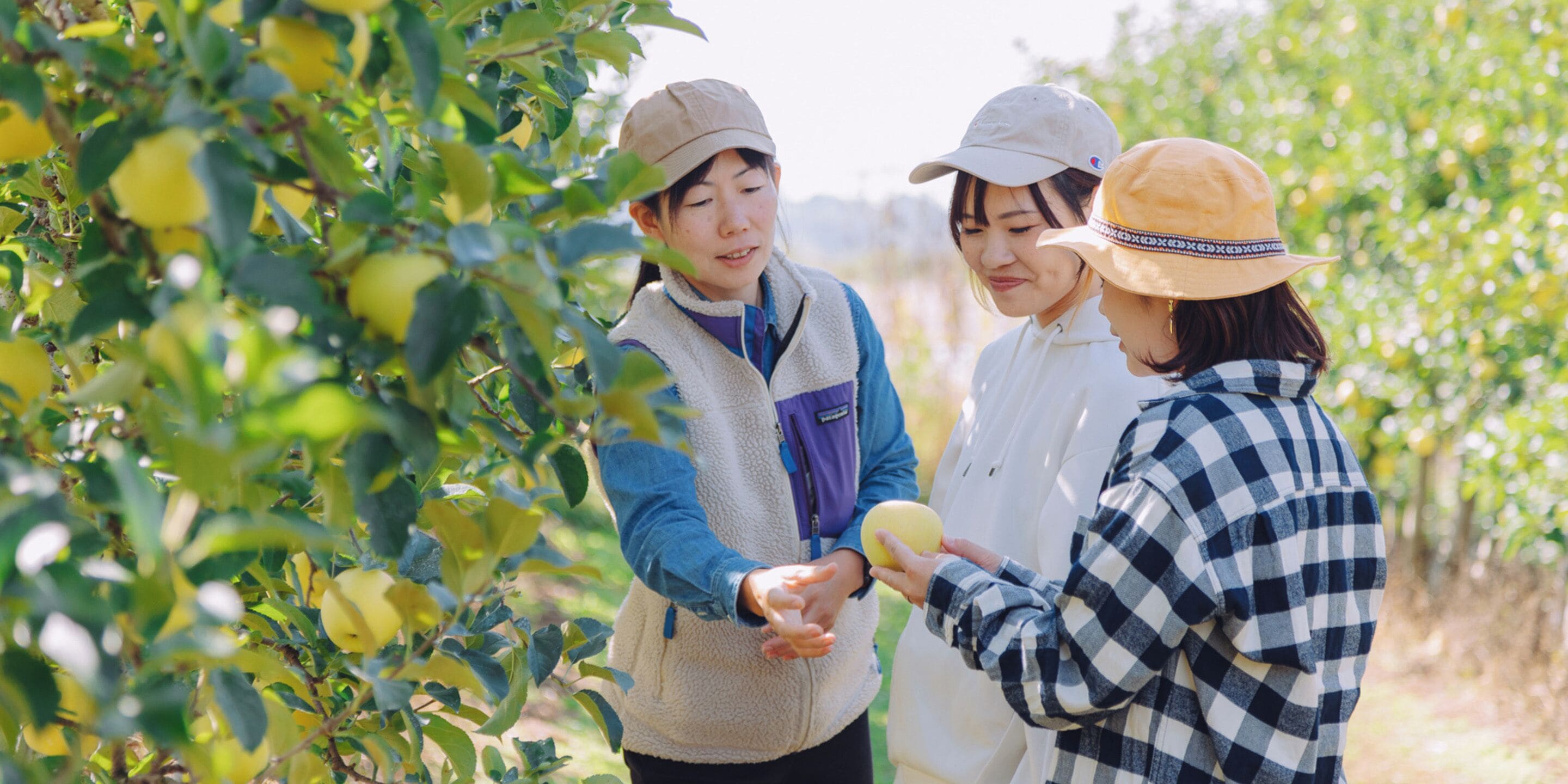 Three people in an orchard, one holding a yellow fruit.
