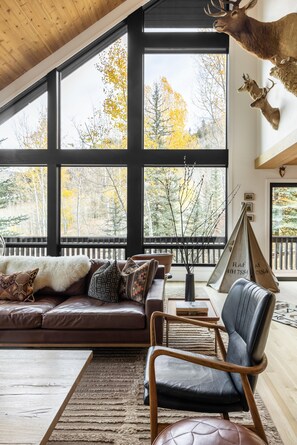 Télévision, cheminée