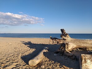 在海灘附近、躺椅