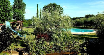 Il Pino Bioagricoltura