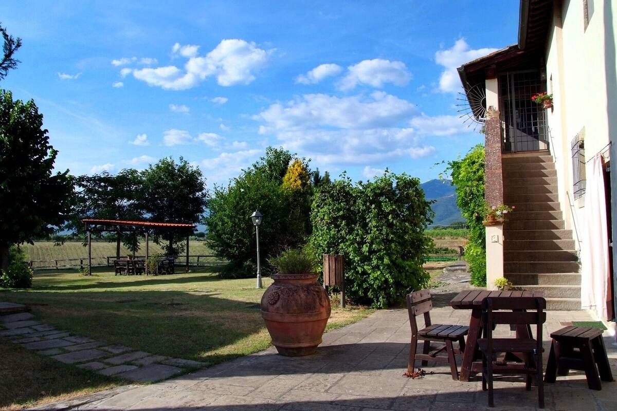 Een terras met een tafel, stoelen, een grote potplant en een pergola.