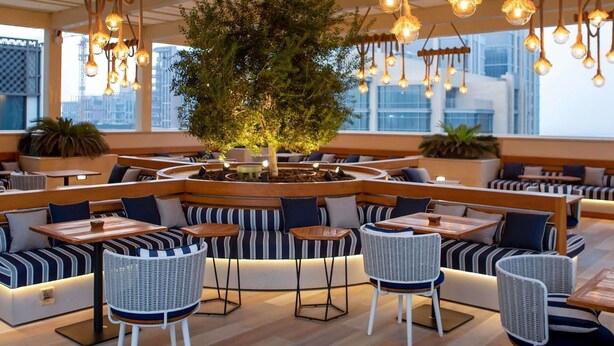 A modern lounge with round seating, hanging lights, and a central tree.