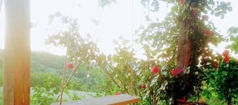 Boho eco cabin in the woods on Fruška gora