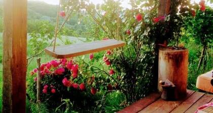 Boho eco cabin in the woods on Fruška gora