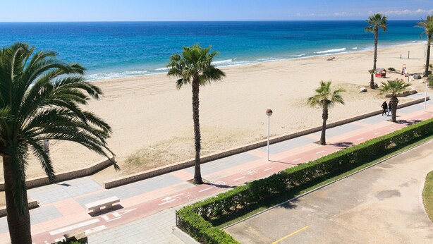 Een strand met palmbomen, een pad en uitzicht op de oceaan.