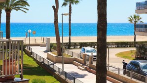 A coastal view with a beach, palm trees, and a road with parked cars.