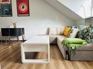 Télévision, lecteur de DVD, livres