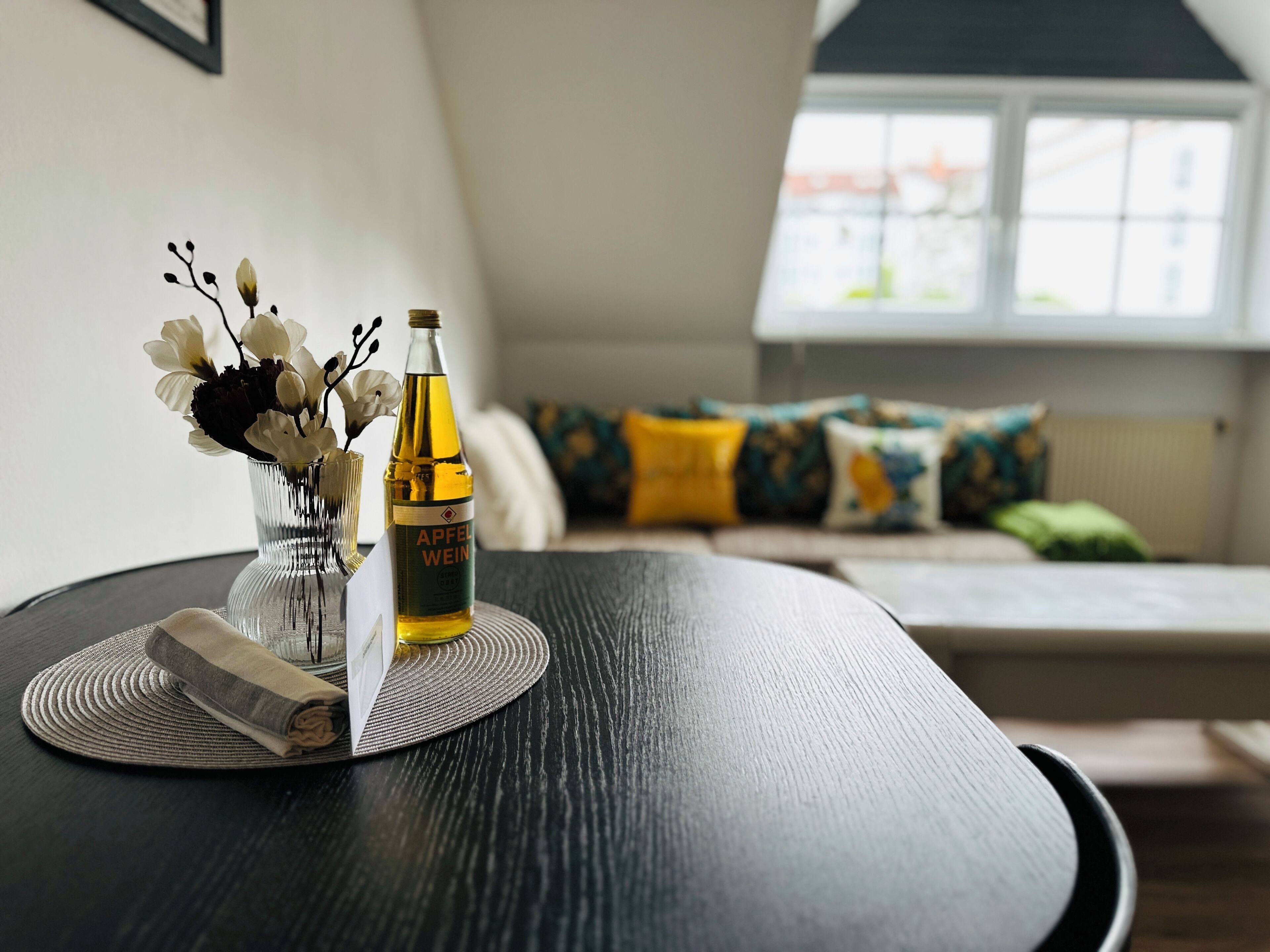 Televisión, reproductor de DVD y libros 