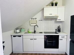 Fridge, oven, stovetop, dishwasher