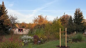 Un jardí ben cuidat amb una varietat de plantes i una estructura de fusta.
