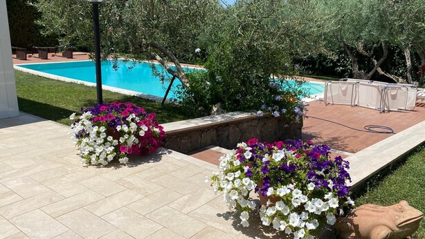 A swimming pool surrounded by a garden with flowering plants and a frog statue. - Visit Rome from a quiet place Frascati (Frascati)