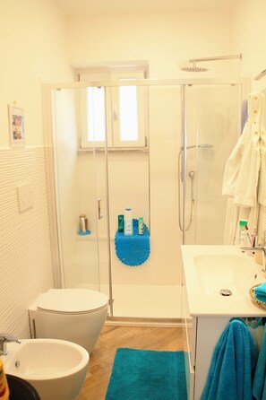 Shower, hair dryer, bidet, towels