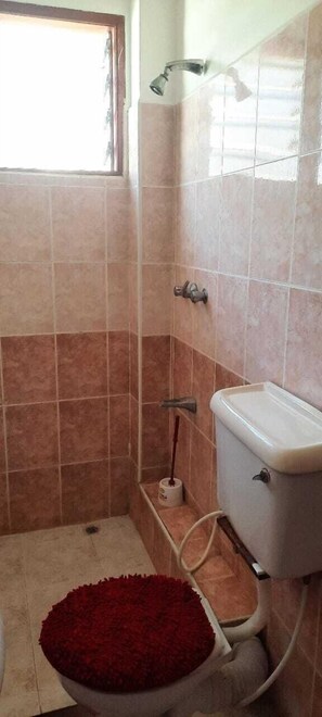 Family Apartment, City View | Bathroom | Shower, free toiletries, slippers, towels