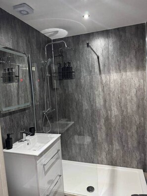 Shower, hair dryer, soap, toilet paper
