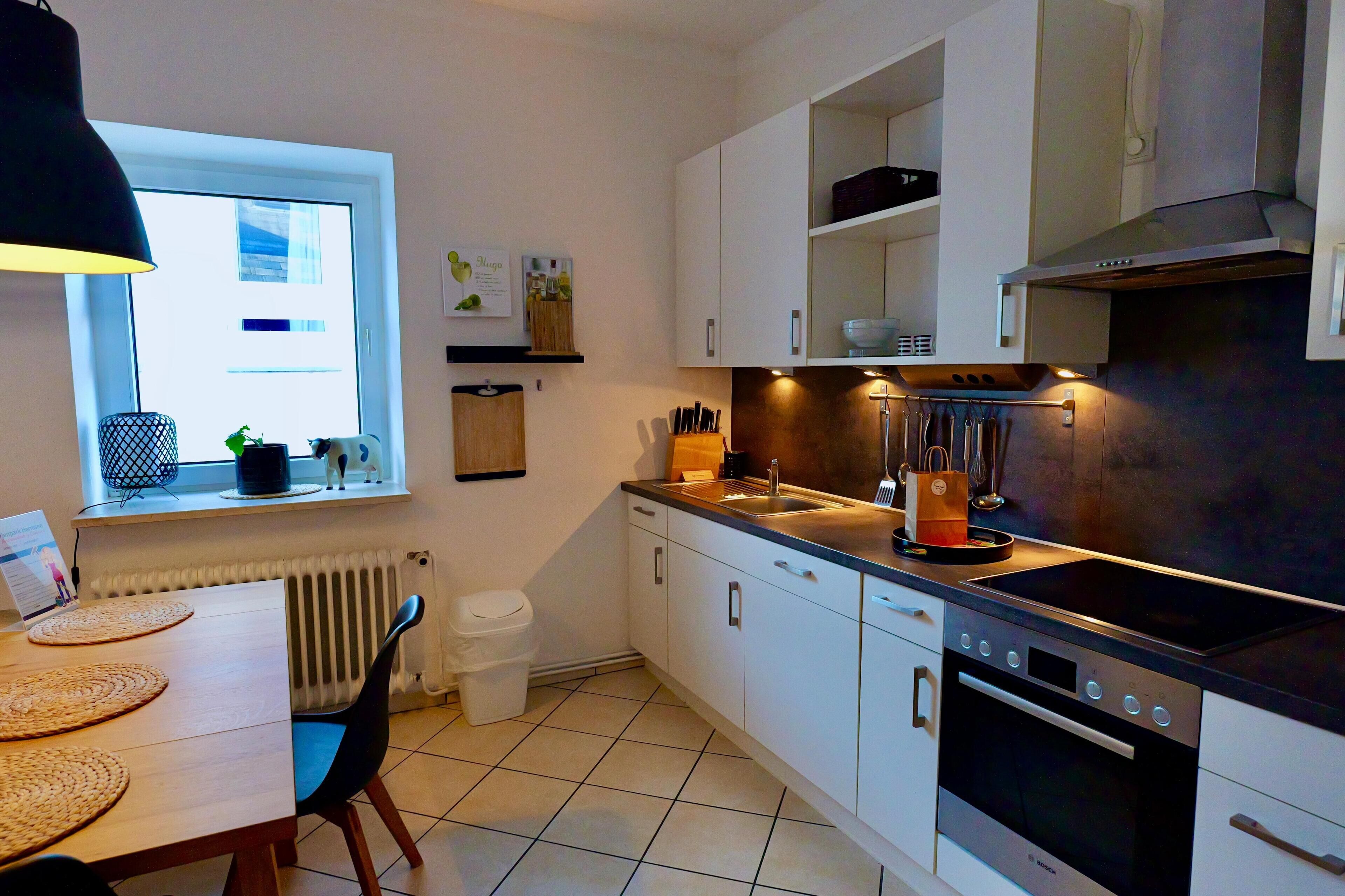 Fridge, oven, stovetop, dishwasher