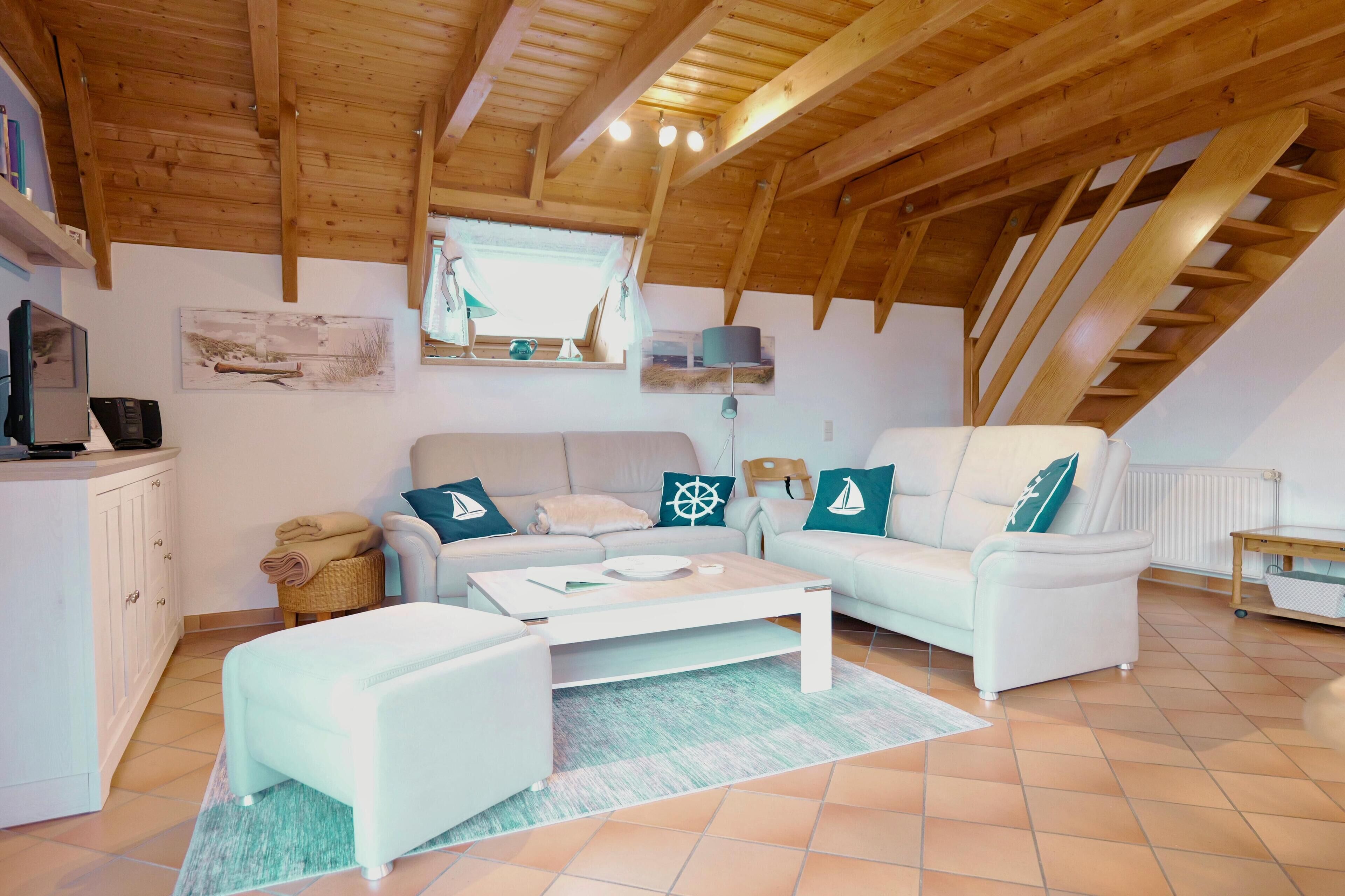 تلفزيون، مشغل دي في دي، ستيريو