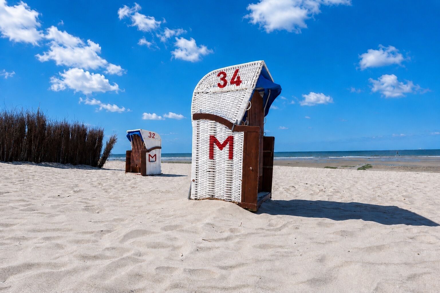 Beach chairs with numbers and letters, a sandy beach, and the ocean in the background.