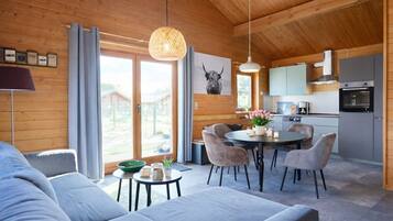 TV, DVD player, video library, stereo