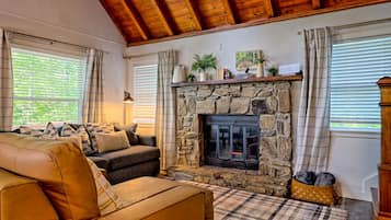 智能电视、壁炉、书