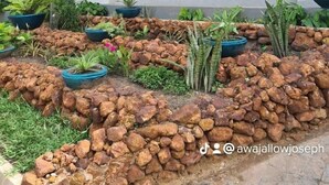 A landscaped area with a sign reading "AQUAVIEW" and various potted plants and rocks. - Aquaview Apartments (Serrekunda)