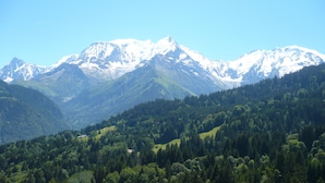 Un paysage montagneux caractérisé par des sommets enneigés et des vallées densément boisées.