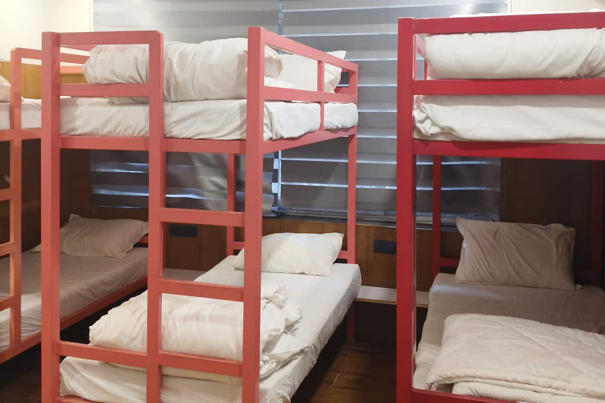 Bunk beds in a room with a window and a ceiling light.