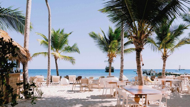 En restaurant ved stranden med udendørs siddepladser, palmer og havudsigt.