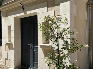 A building facade with a black door and a rose bush in front.