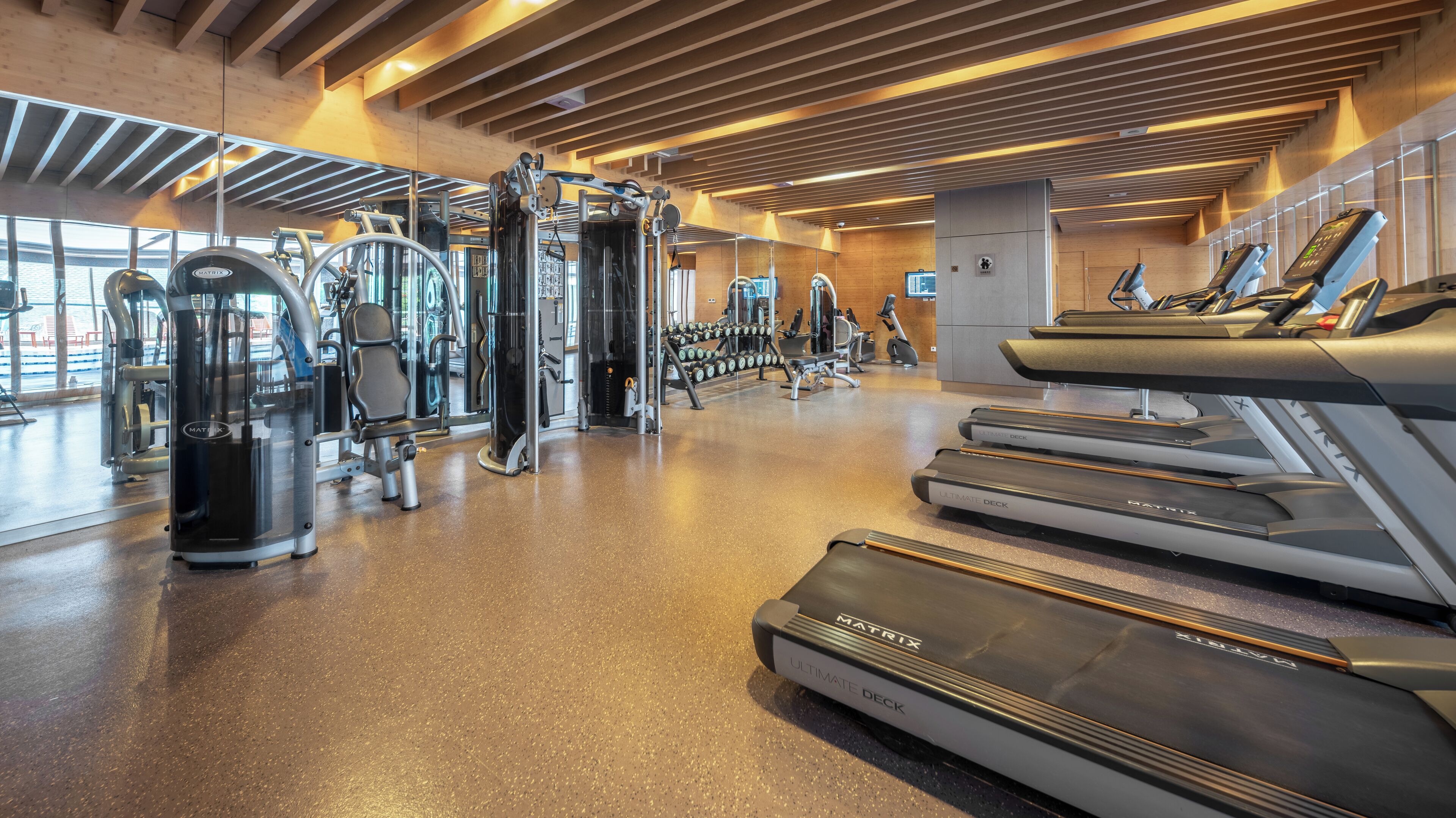 A modern gym with treadmills, weight machines, and free weights.