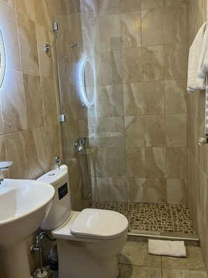 Regadera, amenidades de baño ecológicas, secadora de cabello, toallas