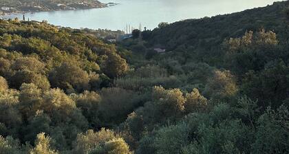 Nice 4-room villa.Magnificent sea view. Terrace/Pergola/private swimming pool.