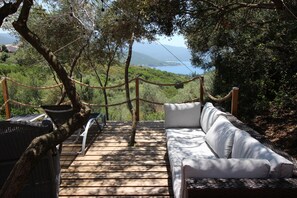 Terras