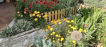 Welcome to this cosy little 40 sq. m. nest with access to the garden.