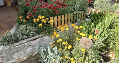 bienvenues dans ce petit nid douillet de 40 mettre carré avec accÚs au jardin.