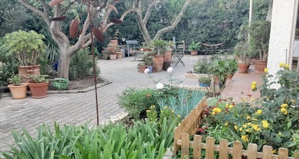 bienvenues dans ce petit nid douillet de 40 mettre carré avec accÚs au jardin.