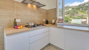 Een moderne keuken met een gasfornuis, een afzuigkap en een raam met uitzicht op een heuvellandschap.