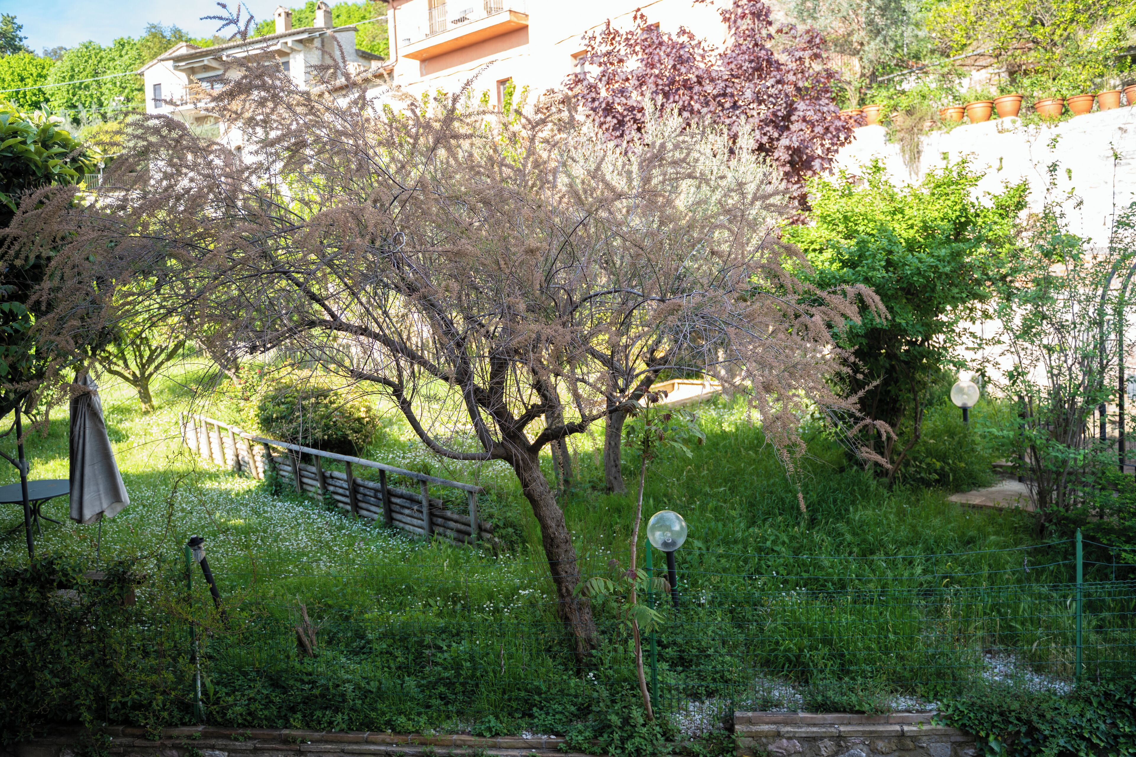 Foto - Hotel Belvedere