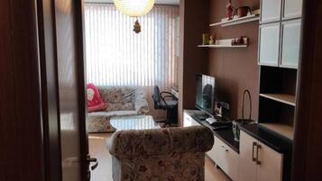 Apartment, 1 Bedroom, Balcony, Mountain View | Living room