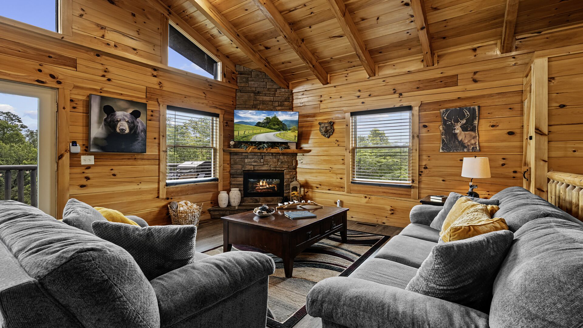 Älytelevisio, takka