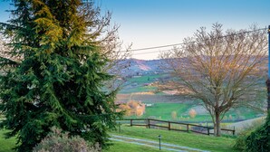 Un paysage rural avec une clôture en bois, un sentier et un grand arbre à feuilles persistantes.