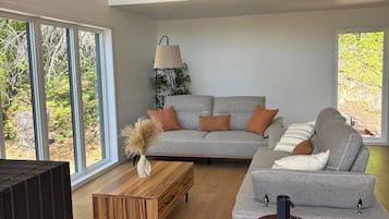 Smart TV, chimenea y libros