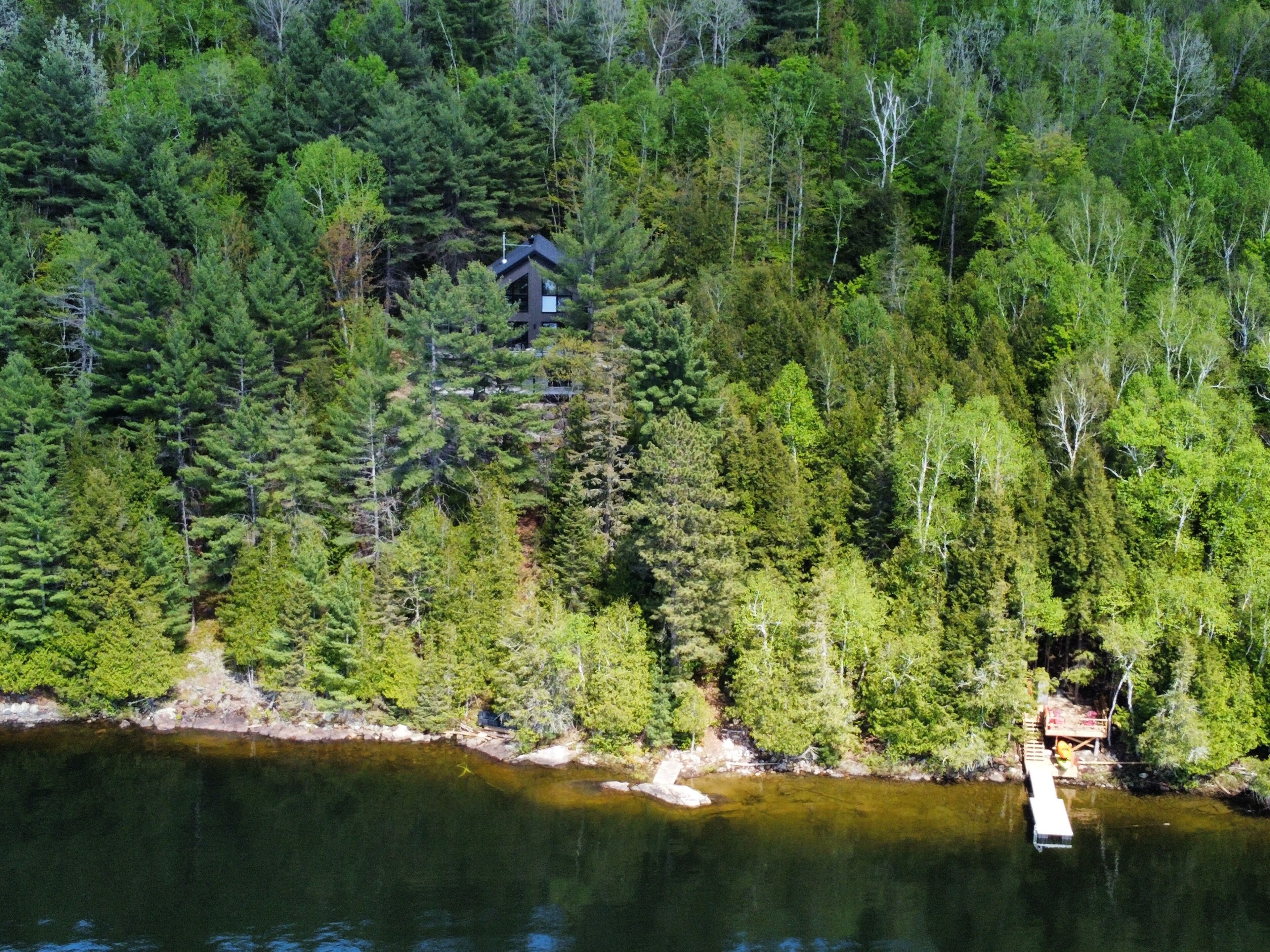 Eine Hütte, umgeben von dichtem Wald, ein Steg, der sich in einen stillen See erstreckt, und ein kleines Boot, vertäut in der Nähe des Stegs.