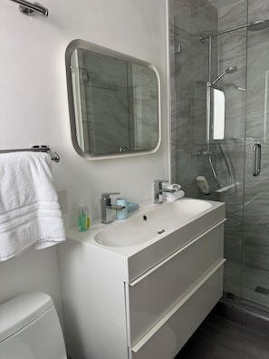 Shower, hair dryer, towels, toilet paper - Beautiful 3 bedroom/bathroom Home with Pool, Bay Views & walk to beach and parks (Miami Beach)