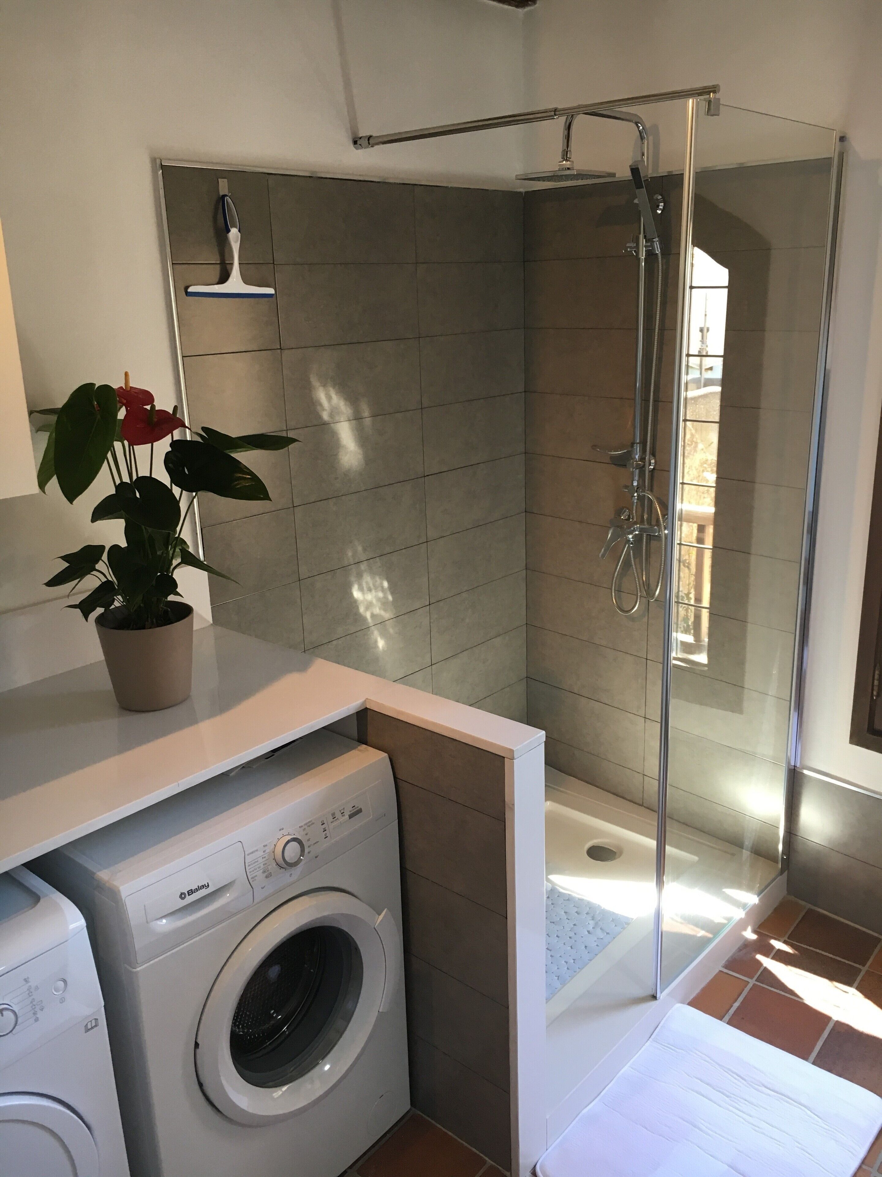 A compact bathroom with a washing machine, a glass shower enclosure, and a potted plant.