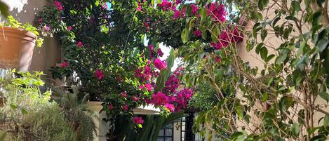 Comfort Condo, Air conditioning, Courtyard View | Terrace/patio