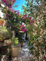 Apartamento Confort, Aire acondicionado, vistas al patio | Terraza o patio