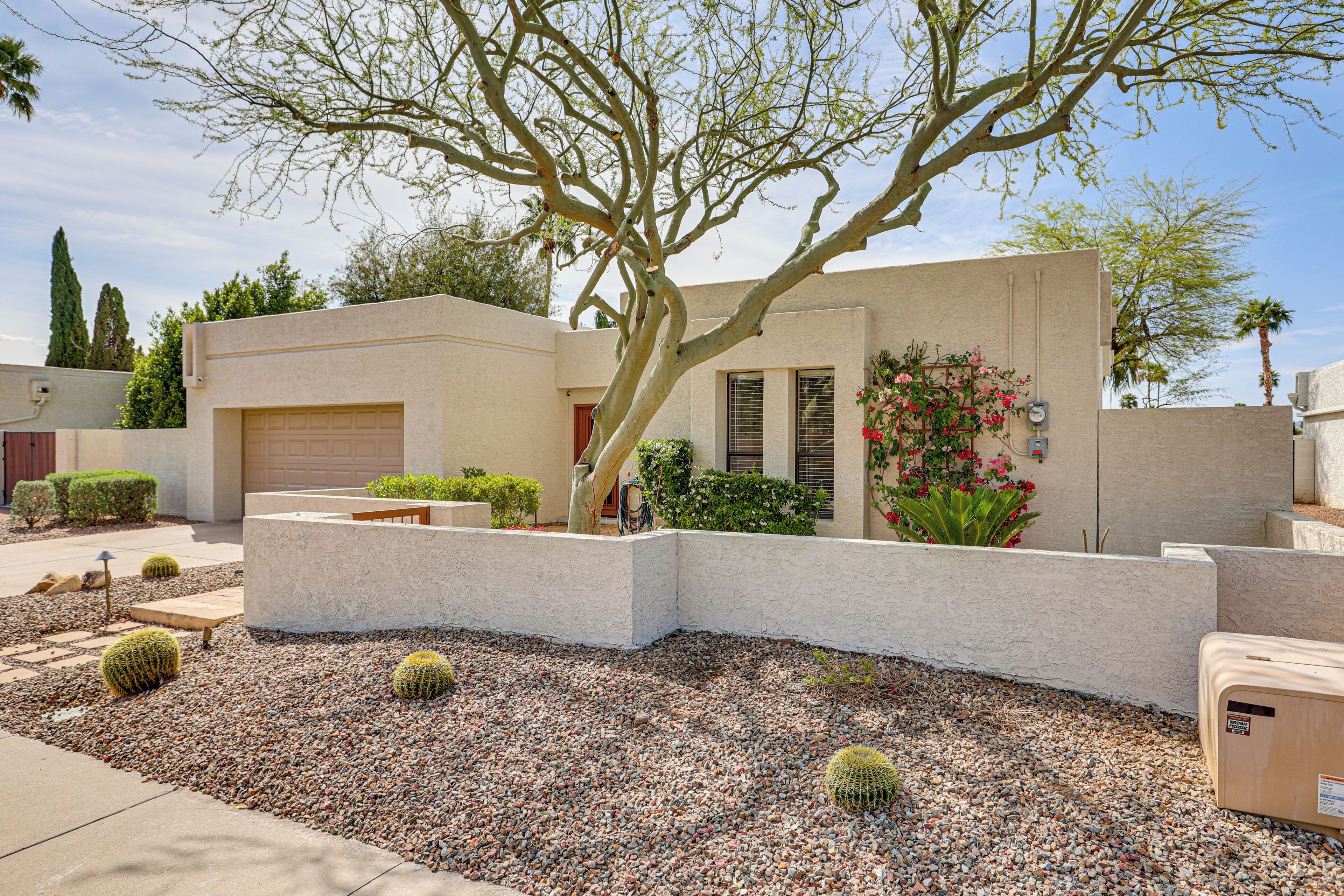 A modern house with a garage, a tree, and a garden with cacti and flowers.
