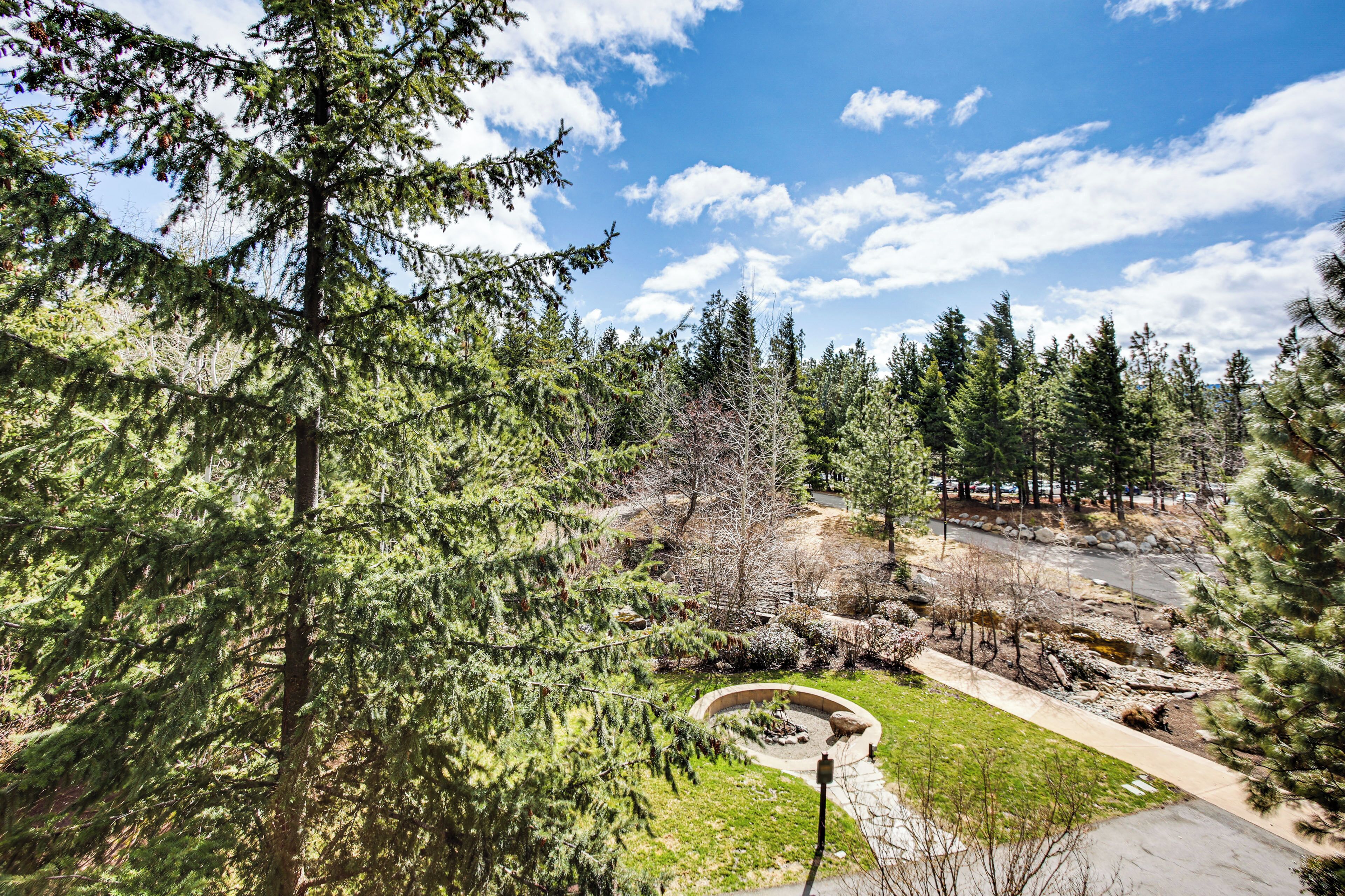 Apartment (1 Bedroom) | Interior