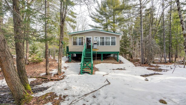 A cabin with a green exterior and a covered porch, surrounded by trees and snow. - Creekside Retreat in the Adirondacks: Swim & Hike! (Forestport)