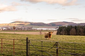 Villa | 20 bedrooms, Internet